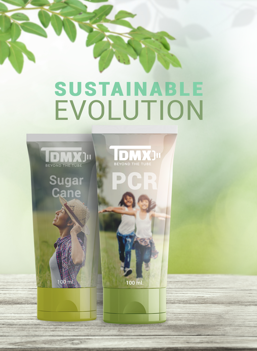 Sustentable evolution